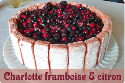 charlottes-framboises-citron Charlotte framboises et citron
