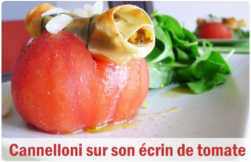 tomate-cigare-italien21 Cannelloni italien sur son écrin de tomate