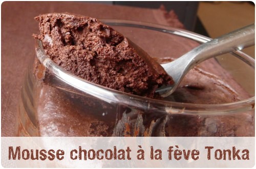 mousse-chocolat-feve-tonka Mousse au chocolat à la fève Tonka