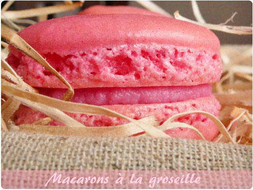 macaron-groseille Macarons (à la groseille) : Vidéo, FAQ, Explications, Ustensiles pour les réussir.