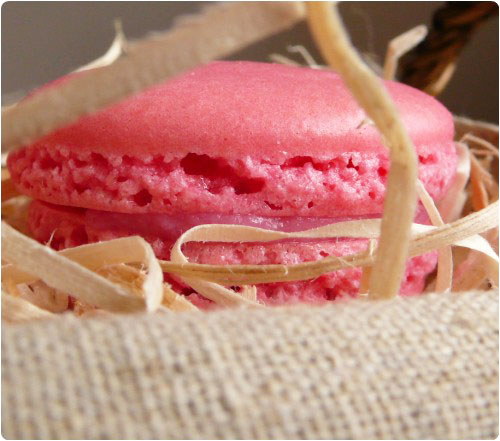 macaron-groseille4 Macarons (à la groseille) : Vidéo, FAQ, Explications, Ustensiles pour les réussir.