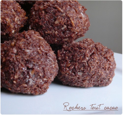 rocher-cacao Rochers tout cacao