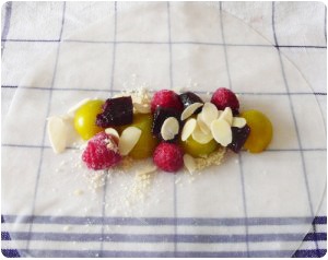 nems-fab Nems aux mirabelles et framboises