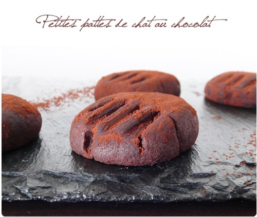 Pattes de chat au chocolat